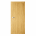 BWR FLUSH DOOR